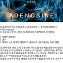 셀아처
