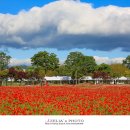 태화강국가정원 이미지