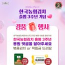 농협김치