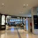 앙팡 pc | 강릉 강아지동반여행 가족여행 세인트존스호텔 펫룸 후기