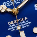 딥씨(Deepsea) 이미지