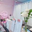 비비드마카롱 이미지