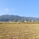 방하경로당 네이버블로그