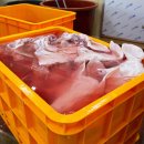 바른축산 이미지