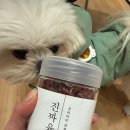 견생냥품24시무인펫샵파주문산수타운점