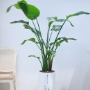 마음가득정신건강의학과의원 이미지