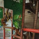 오세르키즈앤패밀리풀빌라 이미지