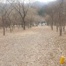 ●●[ 청평 북한강옆 ] 최고의 농막 / 전원주택 토지 매매 이미지