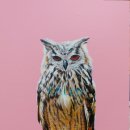 성북동-916 이미지