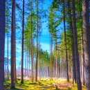 월명경로당 이미지