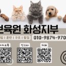 동물보육원 부천지부 네이버블로그