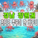 창포리 방파제(검문소 앞) | 경남 창원 마산 도보 워킹 쭈꾸미낚시 루어 원투 잘잡히는 포인트 추천