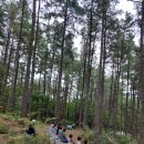 소호 숲 이미지