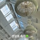 2025.2.8 Instagram 노래 스토리 + 축가스토리 이미지