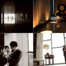 호텔나무 이미지