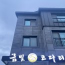 금빛코다리 이미지