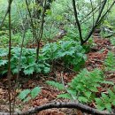 종기농장 이미지