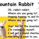 rabbit mountain Daum카페
