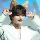 스테이형 이미지