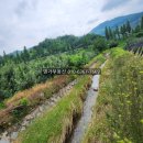 가흥공인중개사사무소 이미지