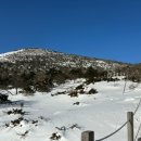 한라산백록담 | 한라산 백록담 후기 26.02.13.