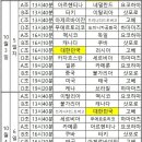 여자배구 세계선수권대회 일정및 대회방식 이미지