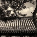 부남면169 이미지