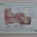 밝은소리보청기 이미지