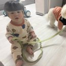 댕댕이펫살롱 이미지