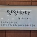 양양하다 이미지