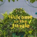 거제남서로 이미지