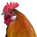 삼방농장 이미지