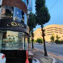 아담스펫강아지&가필드고양이 이미지