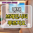 평택 브레인시티 푸르지오 모델하우스 공급안내 이미지