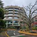 11650-1-10-689 | [서울 호텔 리뷰] 안토 리조트(구.파라스파라) 숙박 후기(팀버주니어 객실,수영장,파크689)