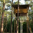 트리하우스 이미지