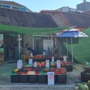 에코에코 협동조합 이미지