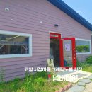 고창 서점마을 그래픽노블 서점 NO.9 <넘버나인> 방문 후기