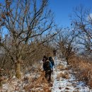 화학산등산로 이미지