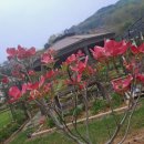 반하우스 이미지