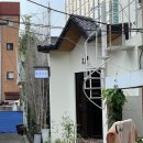 와일드플로어 티스토리