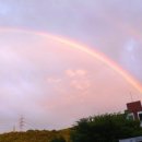 무지개좋아 이미지