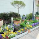 금남세탁소 이미지