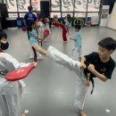 천명태권도 이미지