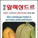 멜론