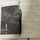 정우아파트_하 | 움트는 빛 속에 언젠가 마주친 또 다른 세계를 잊을 수 있을까