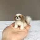 짱인형shop 이미지