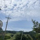 정선양떼목장 | 강원도 정선 정선양떼목장 가볼만한곳 추천 내돈내산 방문 후기