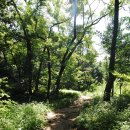 종로-종로-종로-종-115 이미지