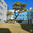 2024 외국계(일본) 회사 IT 직무 면접 후기